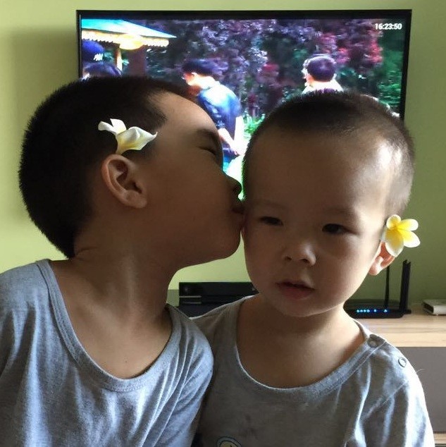 954605 桂桂a