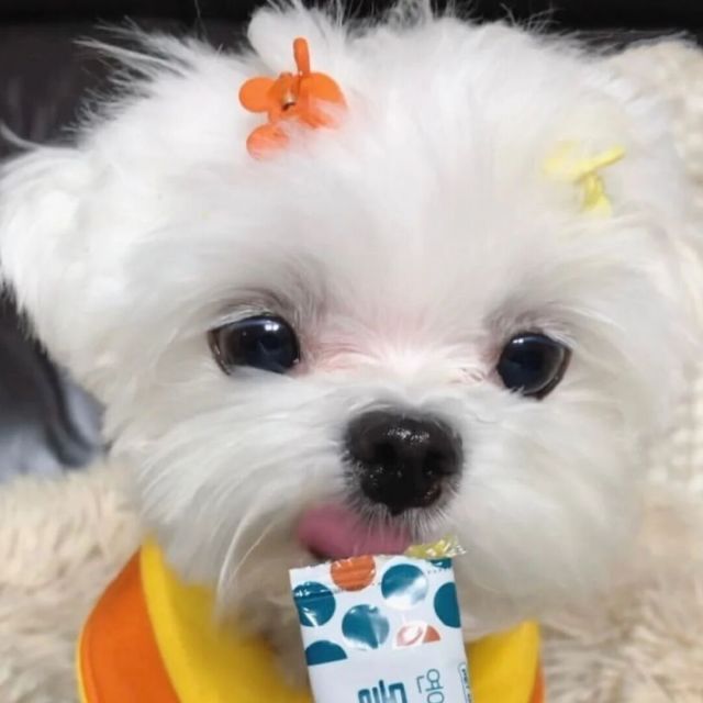 954887 情殇♂