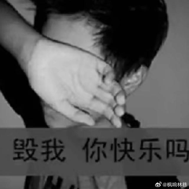 955165 禁海双翼