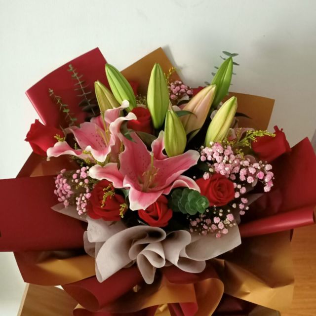 955173 飘摇落叶