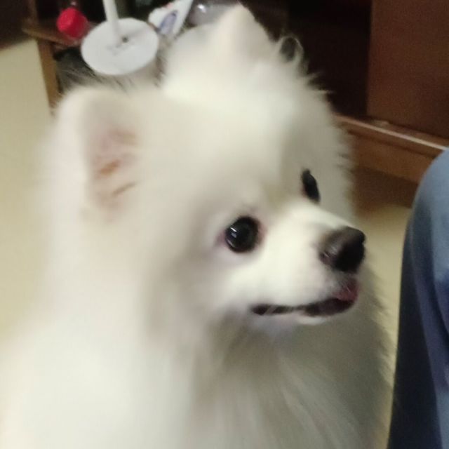 955438 前线2