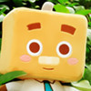 955603 不断忽悠自己
