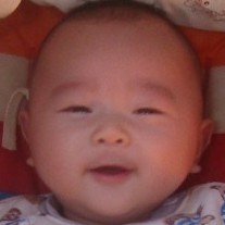 955878 多多
