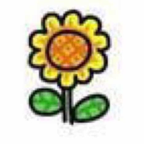 956053 Flower