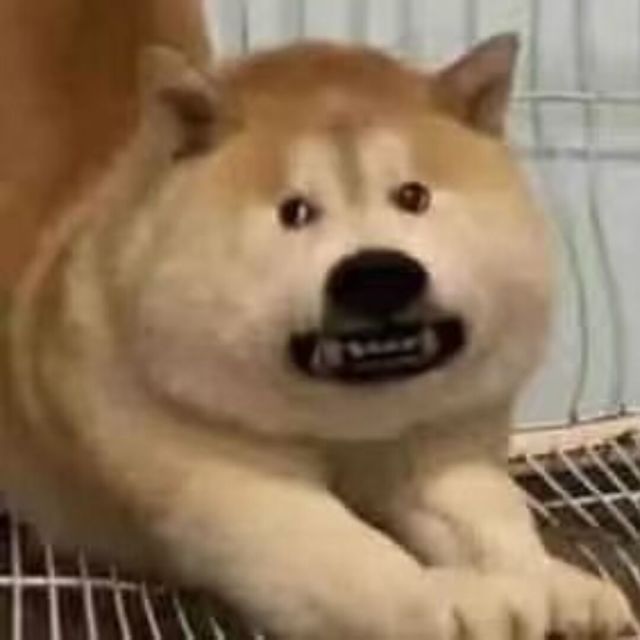 956302 