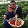 956573 老男孩