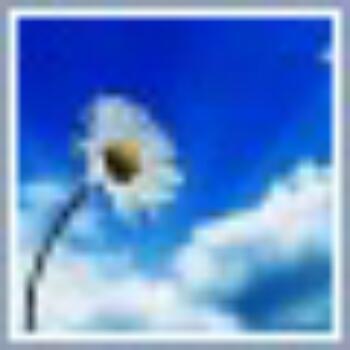 956934 stargazer