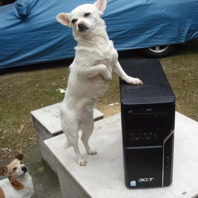 957285 XPERIA