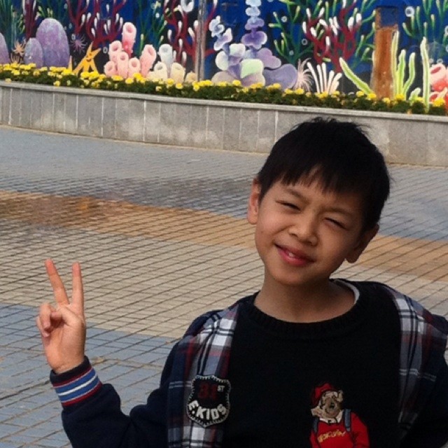 957741 忘忧草