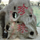 957791 失落的记忆