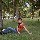 958094 *AMANDA*