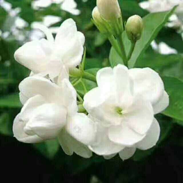 958125 在乎