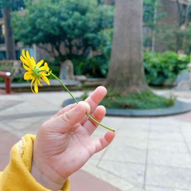 958181 拾派文化传媒