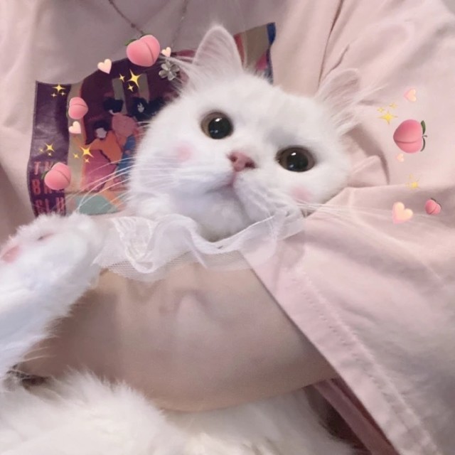 958382 阿九