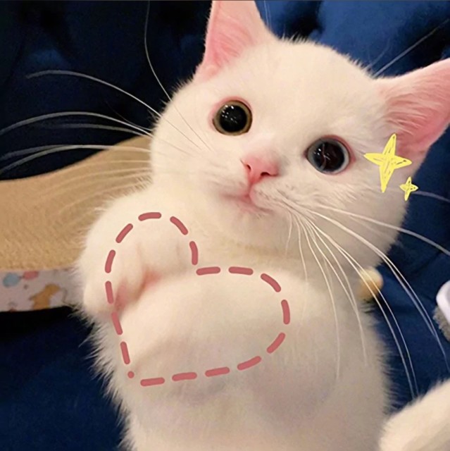 958864 し锋锋先生ゝ