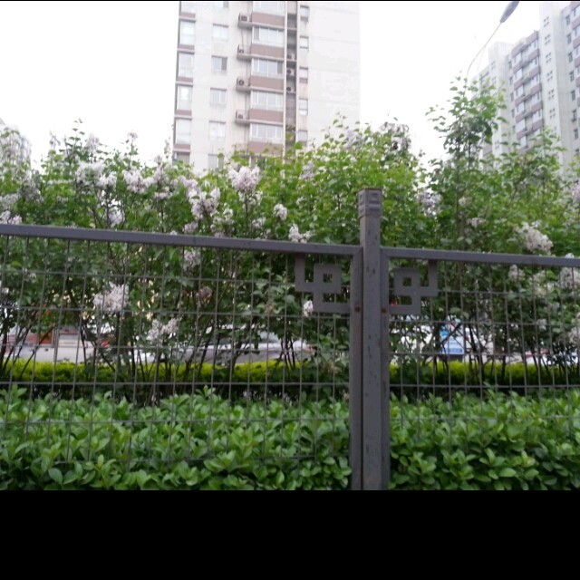 959342 尐瀦崽oo○