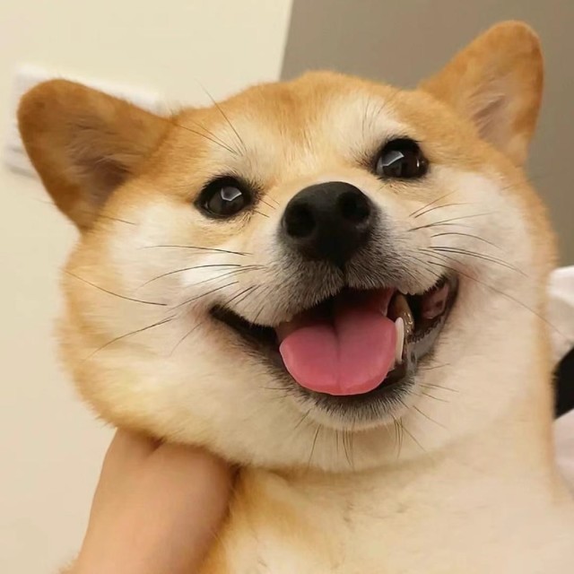 959706 燃烧@的冰