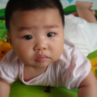 959756  Boll
