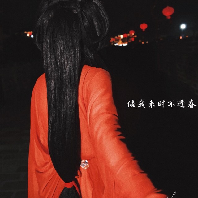 959972 ღ.旧巷子里的猫