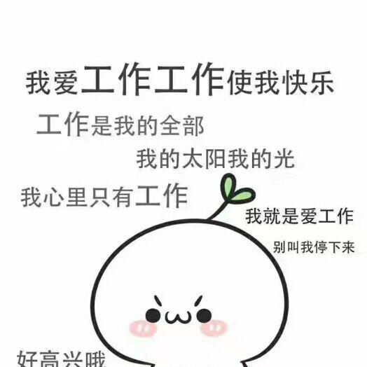 960043 安静的排骨