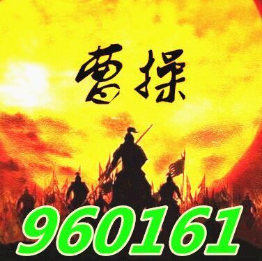 960161 杨帆