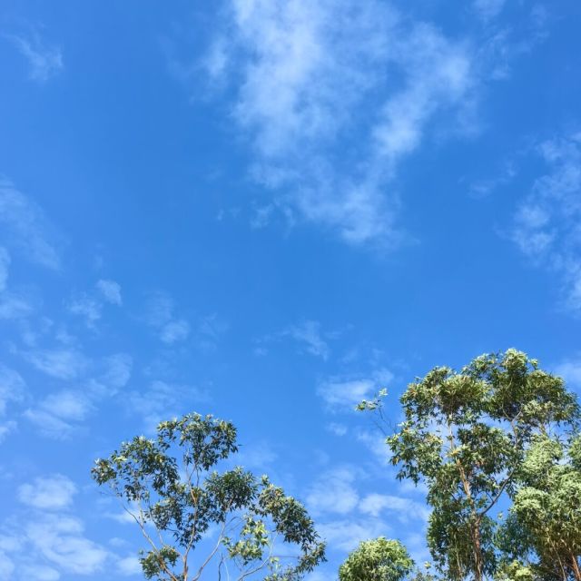 960956 晒太阳的猫
