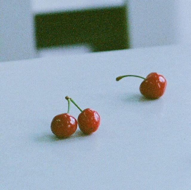 961732 桃子走失在2008