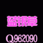 962090 