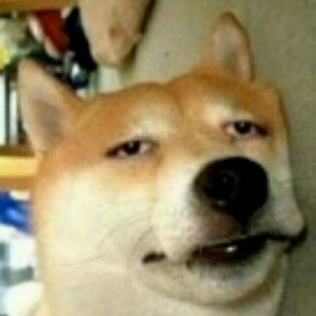 962426 招财狗
