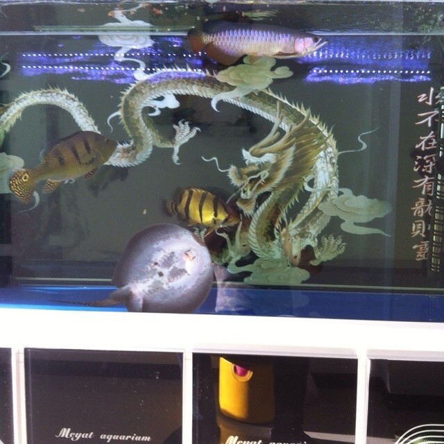 962531  若相惜、卟弃