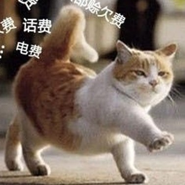 963747 §兹苯袈§