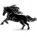 964621 ★幻影丽丽★