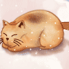 964695 猫猫头