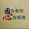 QQ头像