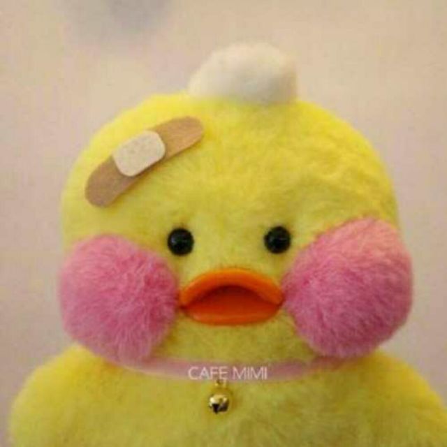 965036 赵淑敏