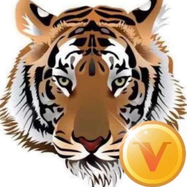 965122 华宇-Super Tiger