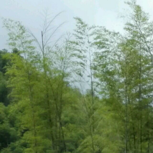 965428 反正是我