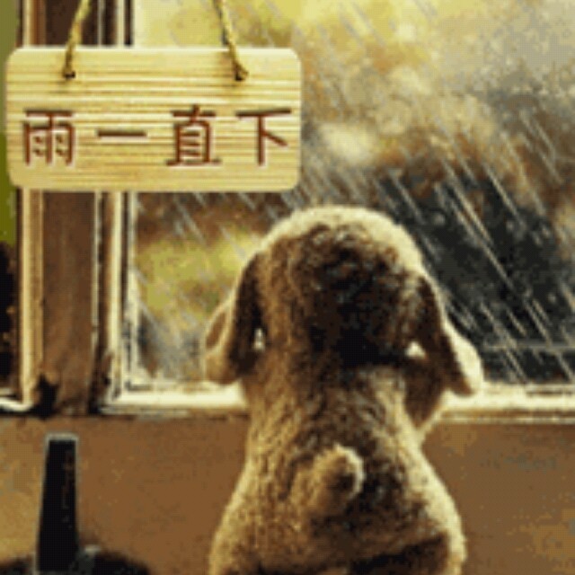 965979 绿木清水