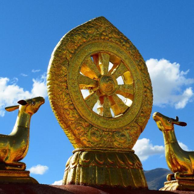 966036 倒听凸说