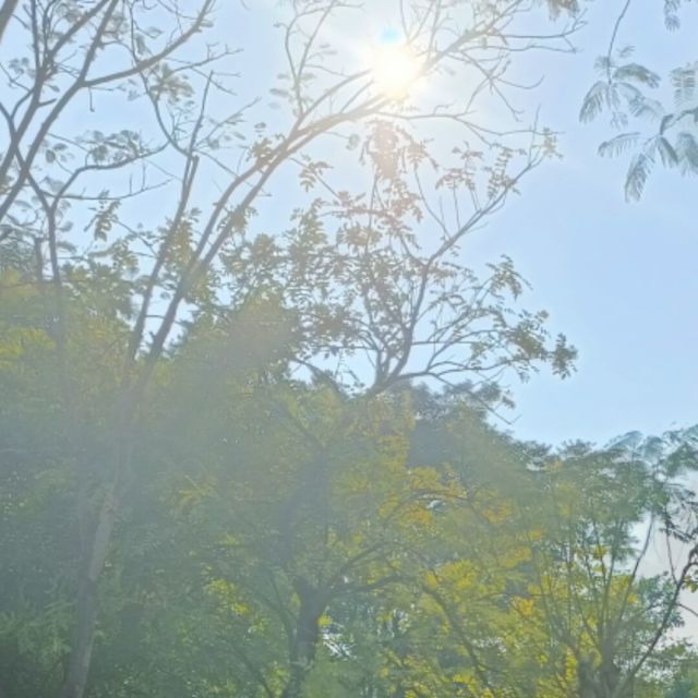 967398 我心飞翔