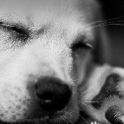 967942 ZZZzzz.