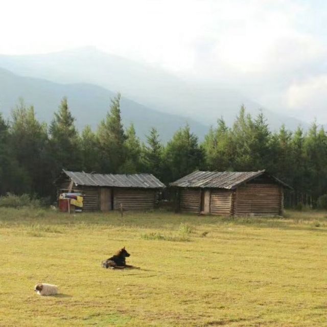 967982 东山侠