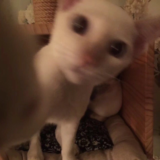 968198 抠脚大汉
