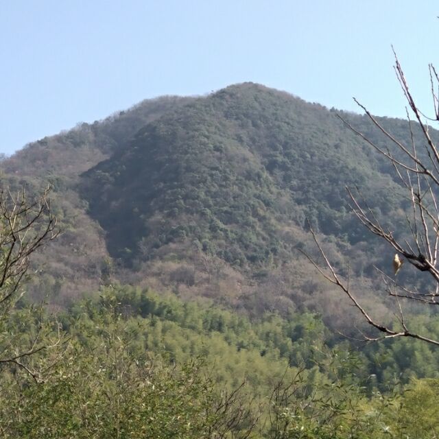 968466 汤有江 （先锋图文）