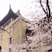 968474 黑枸
