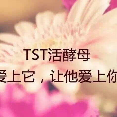 968805 TST金卡总代