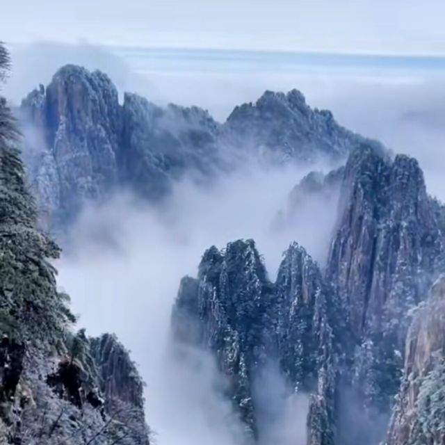 968860 会流泪的鲨鱼