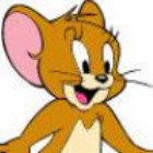 969028 jerry
