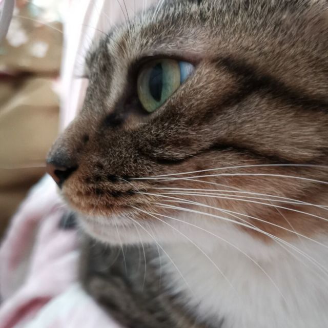 969038 桜流℡