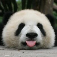 969070  忘情水